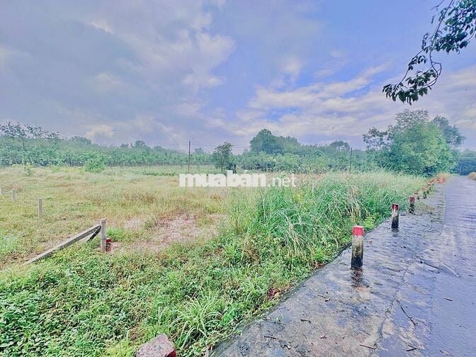 Chủ mới gửi cần bán gấp lô đất ở Minh Thạnh, Dầu Tiếng, 181m2, 270tr.