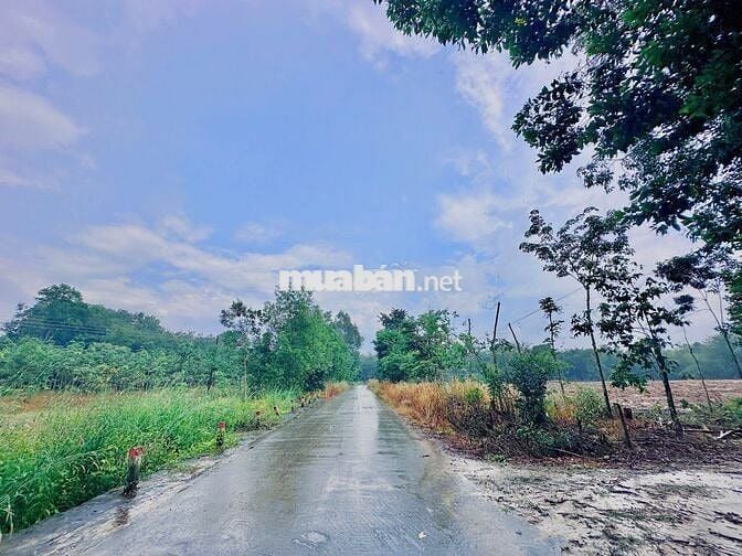 Chủ mới gửi cần bán gấp lô đất ở Minh Thạnh, Dầu Tiếng, 181m2, 270tr.