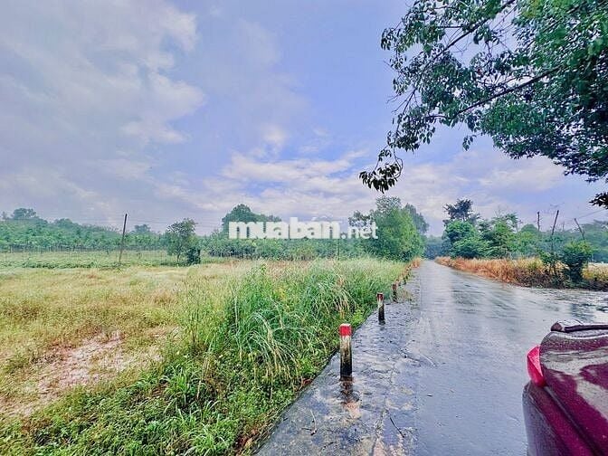 Chủ mới gửi cần bán gấp lô đất ở Minh Thạnh, Dầu Tiếng, 181m2, 270tr.