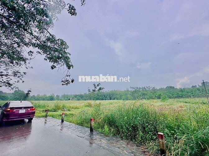 Chủ mới gửi cần bán gấp lô đất ở Minh Thạnh, Dầu Tiếng, 181m2, 270tr.