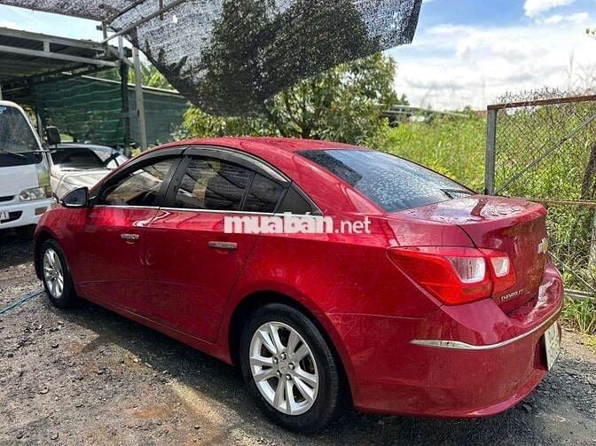 Cru lăng bánh 2018 fom dáng đẹp