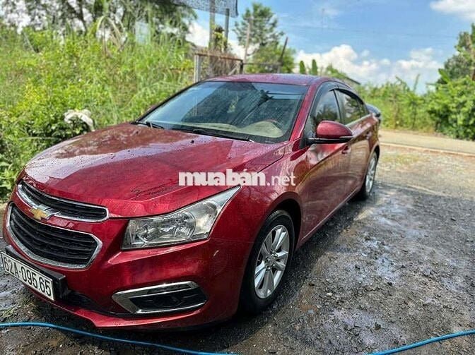 Cru lăng bánh 2018 fom dáng đẹp