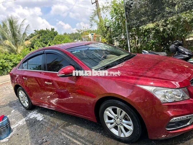 Cru lăng bánh 2018 fom dáng đẹp