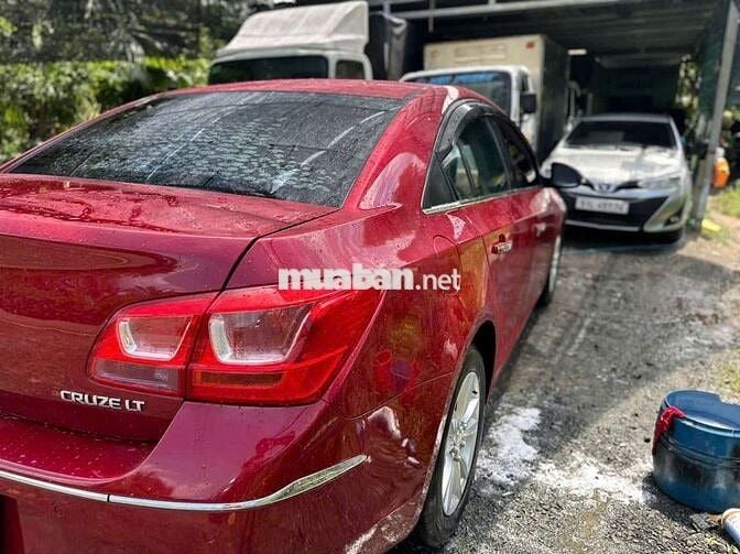 Cru lăng bánh 2018 fom dáng đẹp