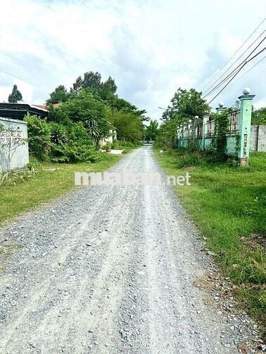 Đất 917m2 gần Uỷ ban xã Trung Lập Hạ, SHR, dân cư đông, giá 1,6 tỷ