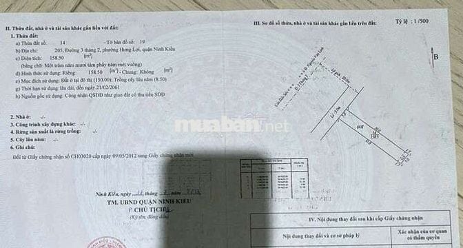 Nền vị trí Vip kế Bách hoá xanh