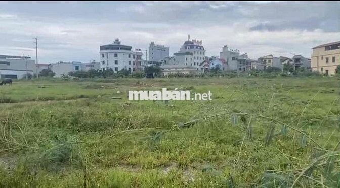 CHÍNH CHỦ CẦN BÁN GẤP LÔ ĐẤT ĐẤU GIÁ KHU CÔNG NGHIỆP THĂNG LONG 3