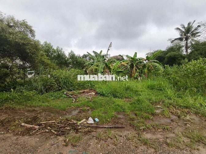 BÁN LÔ ĐẤT 350M2 NGANG 15M ĐUONG XE HƠI TIỆN ĐẦU TƯ XÂY BIỆT THỰ