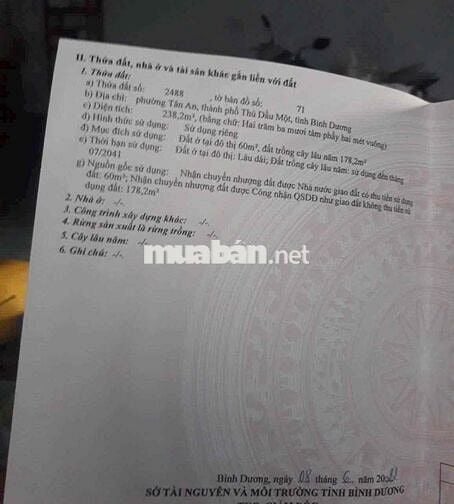 Đất Tân An TDM Bình Dương đường 4m nhánh Huỳnh Thị Hiếu.nở hậu 13,9m