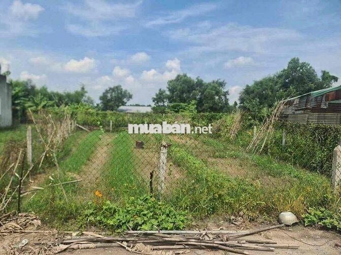 Đất Tân An TDM Bình Dương đường 4m nhánh Huỳnh Thị Hiếu.nở hậu 13,9m