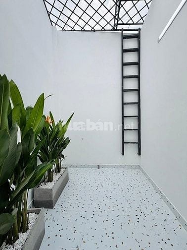 🔥 Nhà Hồ Hảo Hớn – P. Cầu Ông Lãnh, Q1 – 4x16m – Giá chỉ 3 tỷ 250!