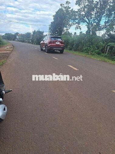 820trieu sở hữu nhà câp 4. Dt :10 x81 :50tc có nhà cấp 4