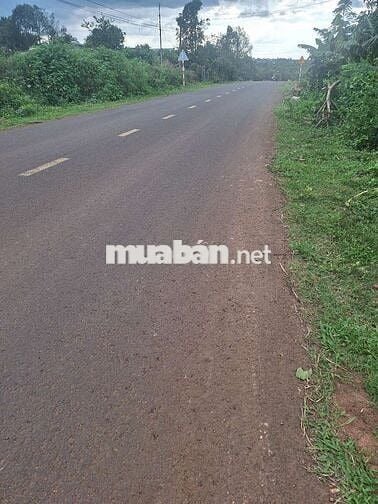 820trieu sở hữu nhà câp 4. Dt :10 x81 :50tc có nhà cấp 4