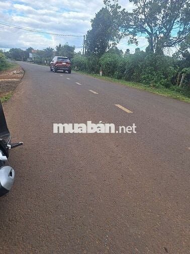 820trieu sở hữu nhà câp 4. Dt :10 x81 :50tc có nhà cấp 4