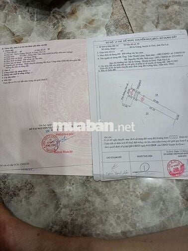 820trieu sở hữu nhà câp 4. Dt :10 x81 :50tc có nhà cấp 4