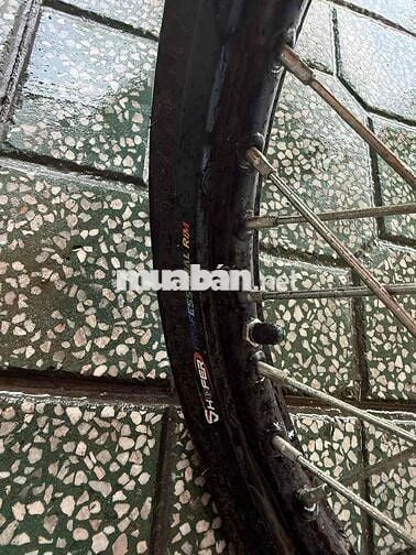 Sirius đăng kí 12-2024 mới như hãng dẫn ra