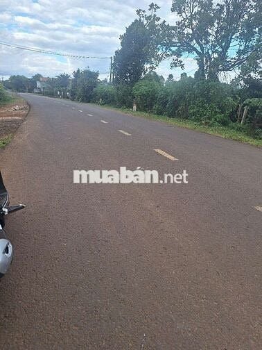 820trieu sở hữu nhà câp 4. Dt :10 x81 :50tc có nhà cấp 4