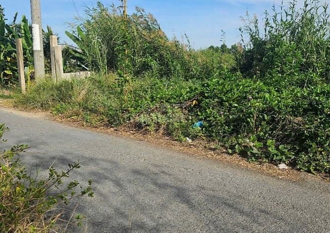 đất chính chủ-cách tuyến metrol500m,ga bình khánh2,5km.1000m2-4,8 tỷ