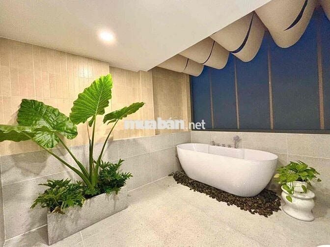 Bán Nhà Trần Huy Liệu PN, 60m2(5x12) 5 Tầng, 5PN 5WC Full NT, Giá Mềm