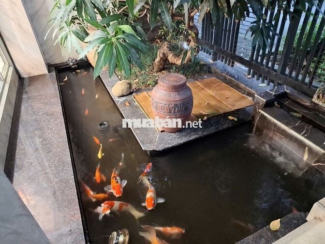 CẦN BÁN BIỆT THỰ SÀI ĐỒNG LONG BIÊN HÀ NỘI.