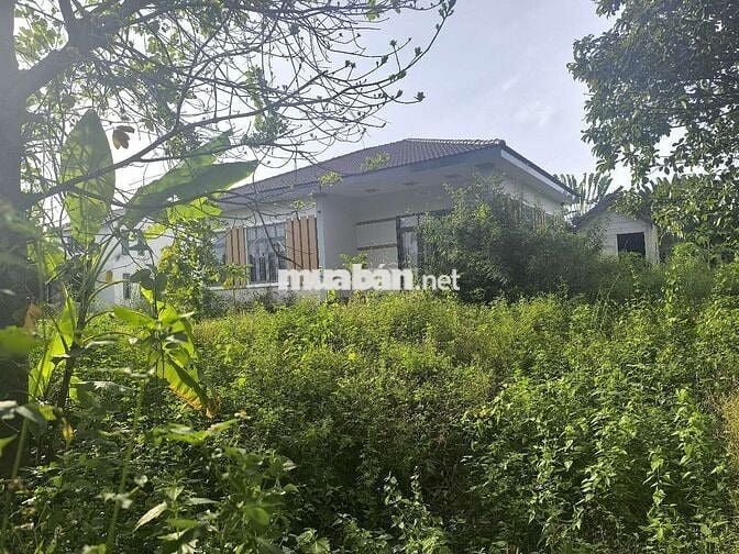 Bán đất Phú Vinh ( ấp 4, Xã Phú Tân cũ) Định Quán, Đồng Nai