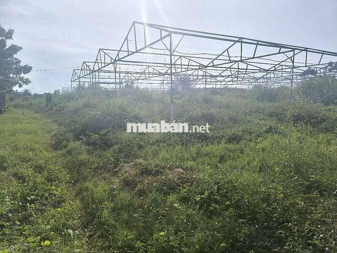 Bán đất Phú Vinh ( ấp 4, Xã Phú Tân cũ) Định Quán, Đồng Nai