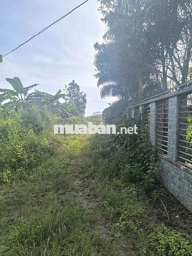 Bán đất Phú Vinh ( ấp 4, Xã Phú Tân cũ) Định Quán, Đồng Nai