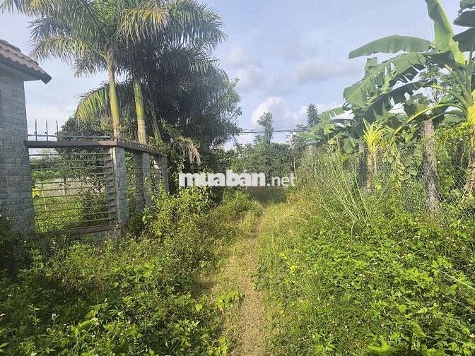 Bán đất Phú Vinh ( ấp 4, Xã Phú Tân cũ) Định Quán, Đồng Nai