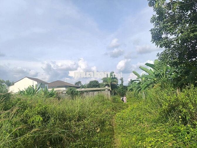 Bán đất Phú Vinh ( ấp 4, Xã Phú Tân cũ) Định Quán, Đồng Nai