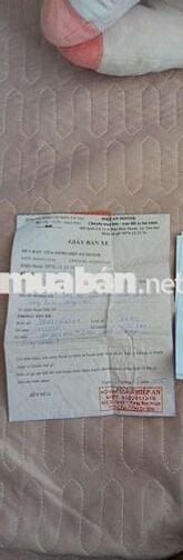 Xe brixton chạy ngon và đẹp hoài cổ