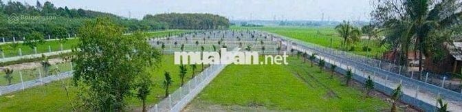 Đất vườn đẹp tại thị trấn Gò Dầu Tây Ninh 1050m2 giá 1 tỷ1