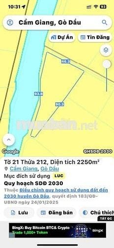 Hơn 6 công đất lúa xã Cẩm Giang