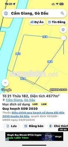 Hơn 6 công đất lúa xã Cẩm Giang