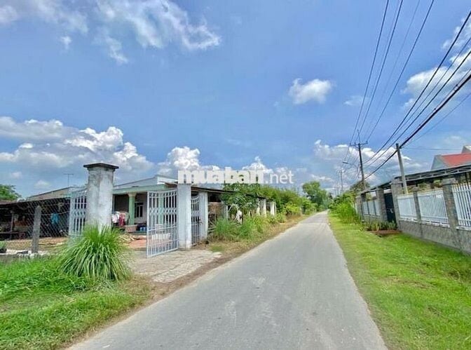 🌿 Bán đất vườn Gò Dầu – 1150m²  – Giá rẻ như cho, chỉ 920 triệu!