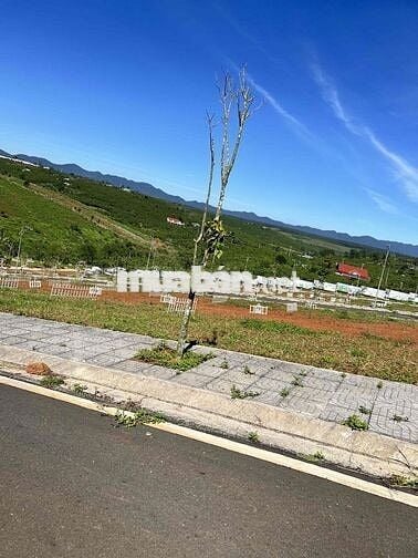 Cần bán đất Bảo Lâm , Lộc Quảng