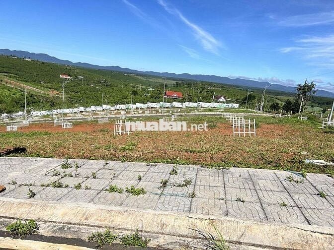 Cần bán đất Bảo Lâm , Lộc Quảng