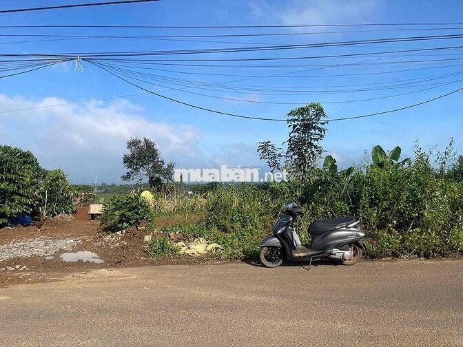 Mặt tiền đường nhựa liên xã Lộc An -  483m2 sẵn 162m2 thổ cư