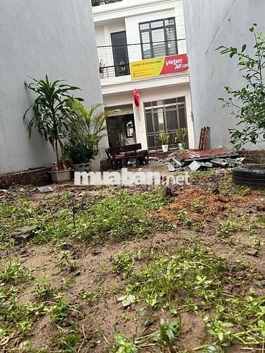 43m2 thổ cư Lê Xá, Mai Lâm, Đông Anh, giá gần bằng căn chung cư Euro