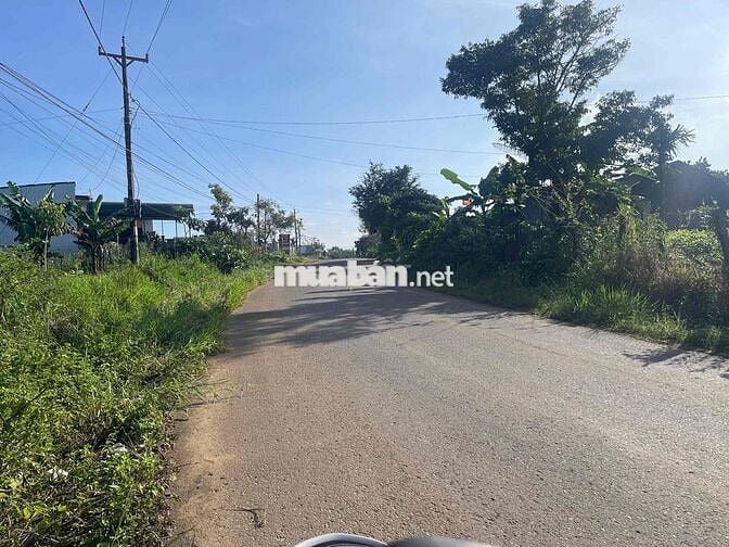 Mặt tiền đường nhựa liên xã Lộc An -  483m2 sẵn 162m2 thổ cư