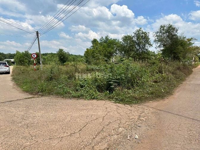 THÔNG BÁO ĐẤU GIÁ TÀI SẢN THEO THỦ TỤC RÚT GỌN