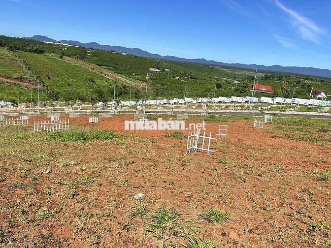 Cần bán đất Bảo Lâm , Lộc Quảng