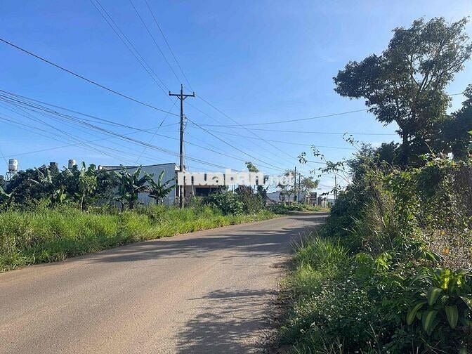 Mặt tiền đường nhựa liên xã Lộc An -  483m2 sẵn 162m2 thổ cư