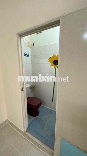 chính chủ cho thuê phòng trung tâm Q3