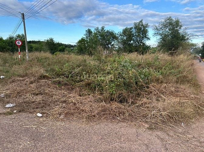 THÔNG BÁO ĐẤU GIÁ TÀI SẢN THEO THỦ TỤC RÚT GỌN