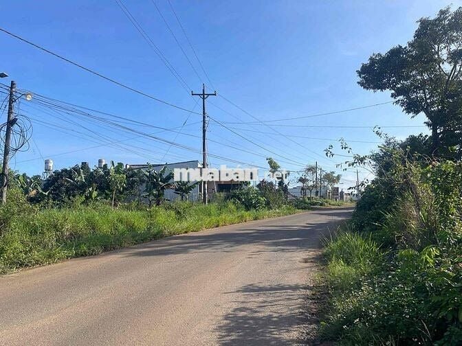 Mặt tiền đường nhựa liên xã Lộc An -  483m2 sẵn 162m2 thổ cư