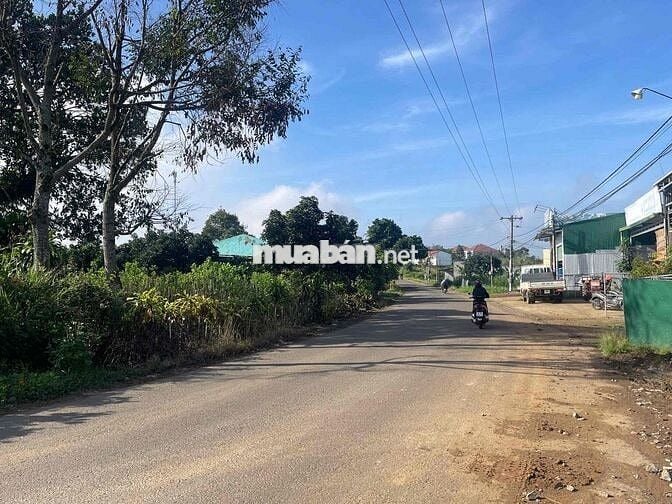 Mặt tiền đường nhựa liên xã Lộc An -  483m2 sẵn 162m2 thổ cư