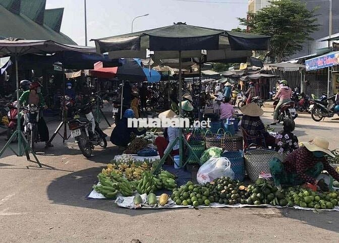 Do kẹt tiền Chú Trung cần bán gấp miếng đất 227m2