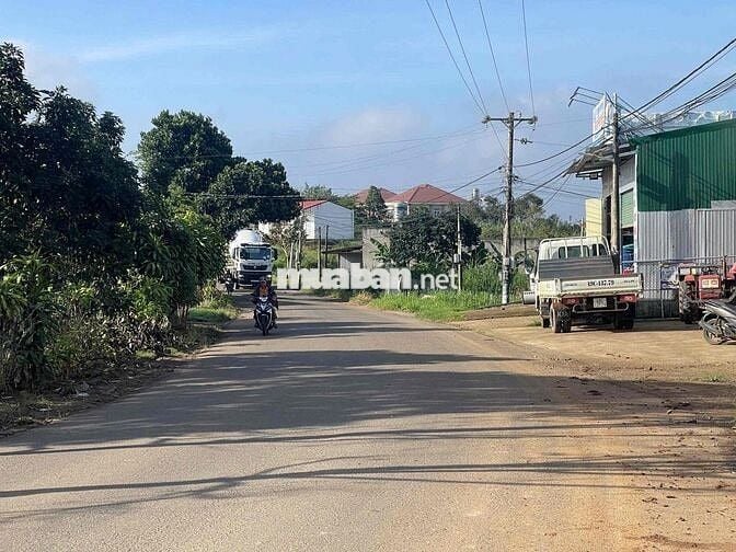 Mặt tiền đường nhựa liên xã Lộc An -  483m2 sẵn 162m2 thổ cư