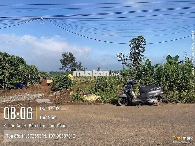 Mặt tiền đường nhựa liên xã Lộc An -  483m2 sẵn 162m2 thổ cư