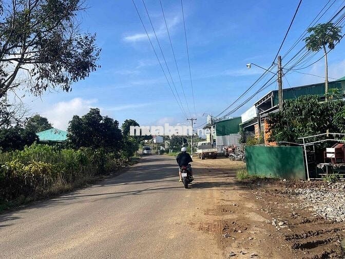 Mặt tiền đường nhựa liên xã Lộc An -  483m2 sẵn 162m2 thổ cư